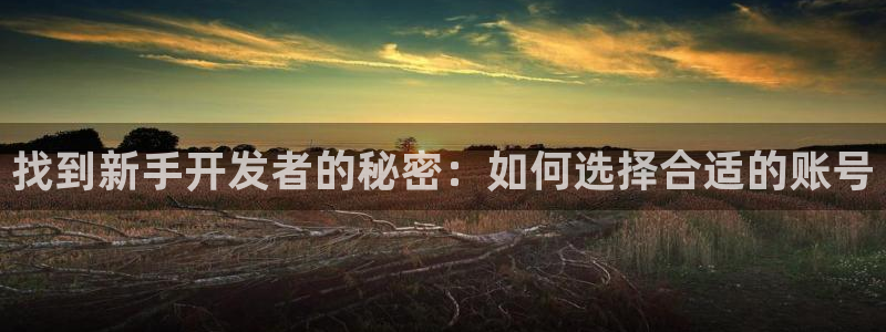 恩佐娱乐登陆：找到新手开发者的秘密：如何选择合适的账号