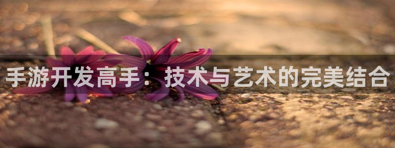 恩佐娱乐官方注册：手游开发高手：技术与艺术的完美结合