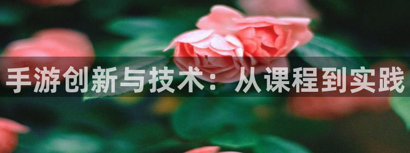 恩佐娱乐登陆：手游创新与技术：从课程到实践
