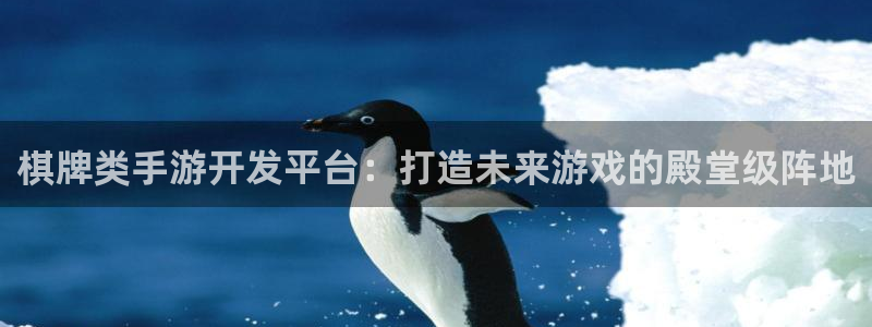 恩佐娱乐登陆：棋牌类手游开发平台：打造未来游戏的殿堂级阵地