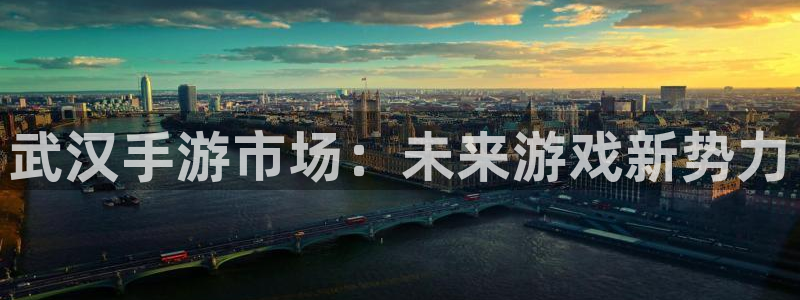 恩佐娱乐注册：武汉手游市场：未来游戏新势力