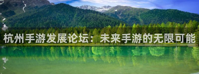 恩佐娱乐注册：杭州手游发展论坛：未来手游的无限可能