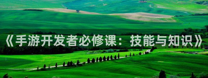 恩佐娱乐注册：《手游开发者必修课：技能与知识》