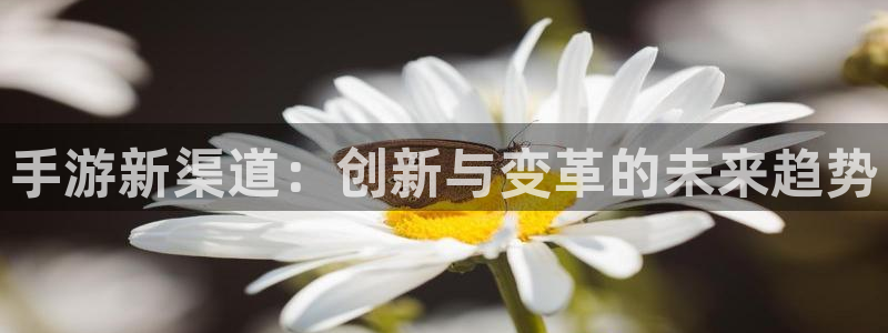 恩佐娱乐1：手游新渠道：创新与变革的未来趋势