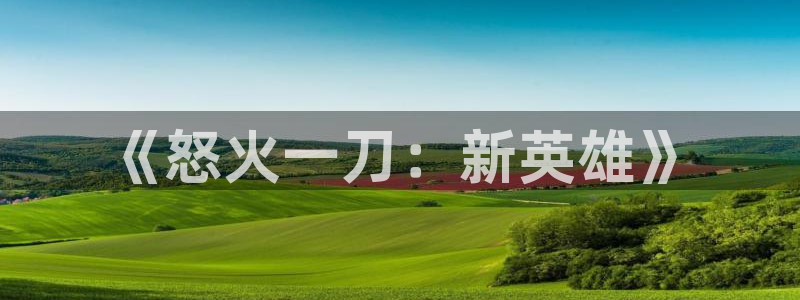 恩佐娱乐平台正规吗知乎：《怒火一刀：新英雄》