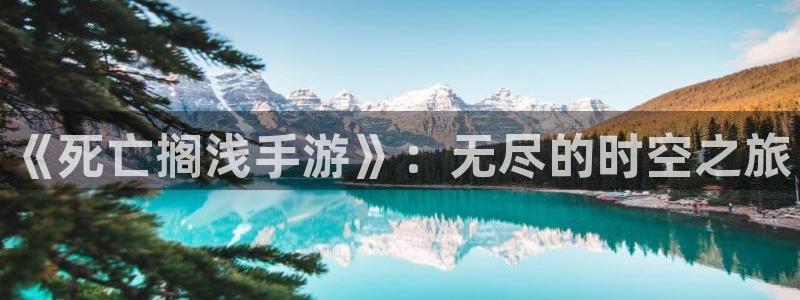恩佐娱乐注册：《死亡搁浅手游》：无尽的时空之旅