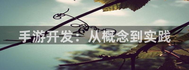 恩佐娱乐手机版最新功能介绍大全：手游开发：从概念到实践