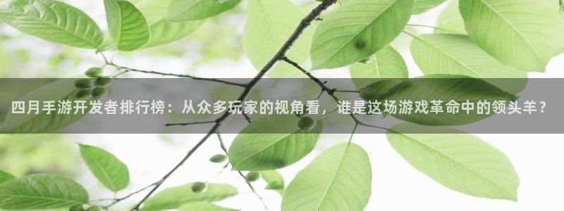 恩佐娱乐手机版最新功能介绍视频