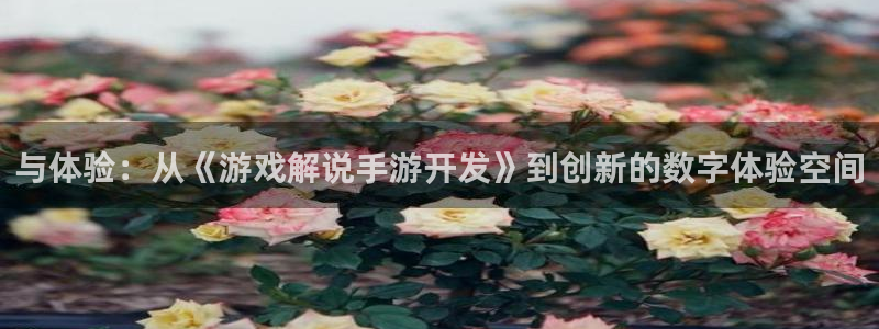 恩佐娱乐官方注册：与体验：从《游戏解说手游开发》到创新的数字