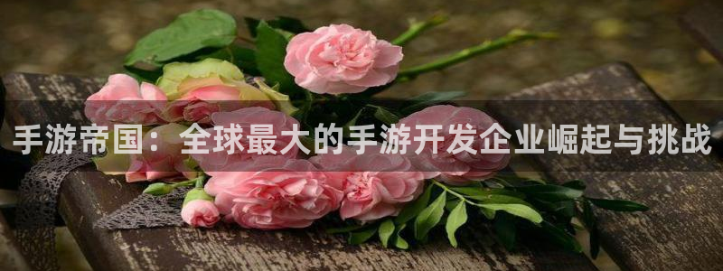 恩佐娱乐注册：手游帝国：全球最大的手游开发企业崛起与挑战