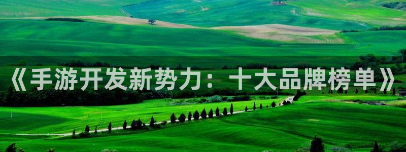 恩佐娱乐手机版最新功能介绍大全：《手游开发新势力：十大品牌榜