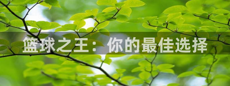 米兰体育综合官网