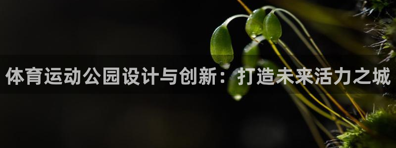 米兰体育场