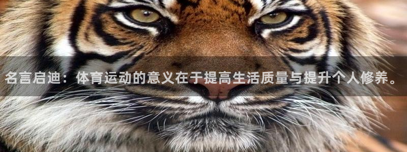 米兰体育场