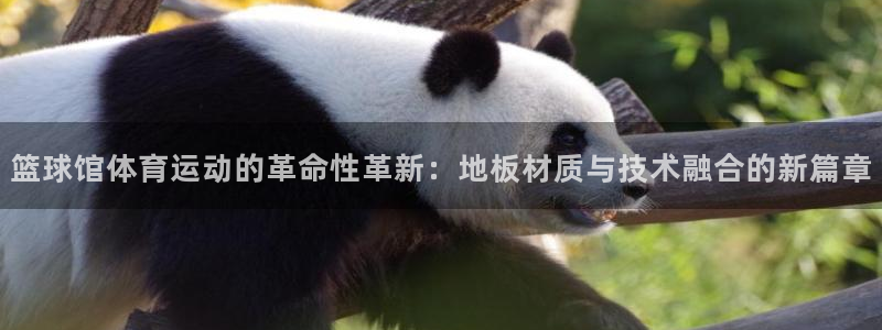 米兰体育靠谱吗