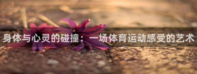 米兰体育app