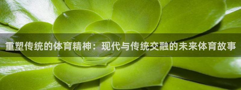 米兰体育网址